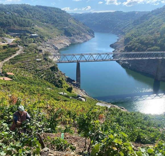 bodegas-ribeira-sacra-moreiras-pano