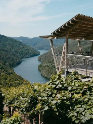 bodegas-ribeira-sacra-abadiadacova