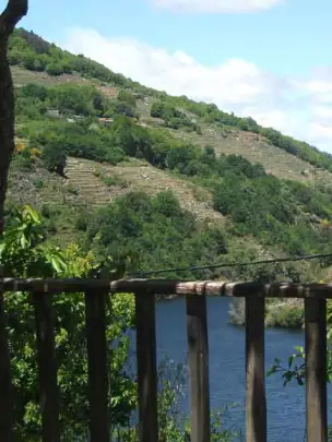 bodegas-ribeira-sacra-pincelo