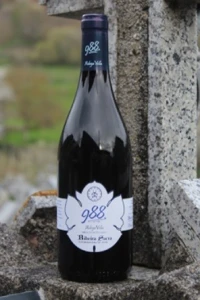 bodegas-cañones-del-sil-vella-botella