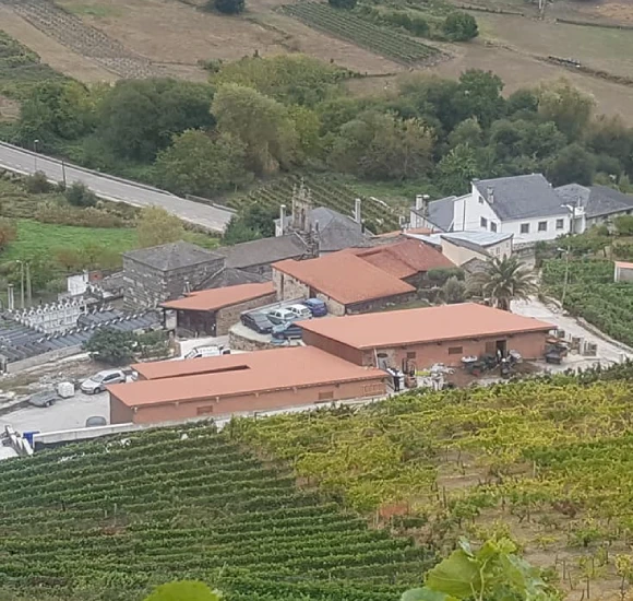 bodegas-cañones-del-sil-vella-pano