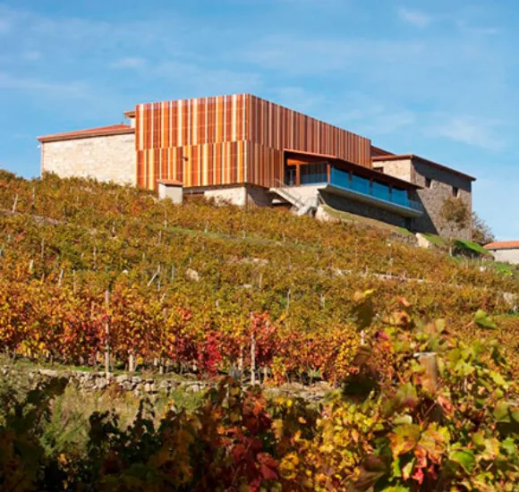 bodegas-cañones-del-sil-pano-amandi