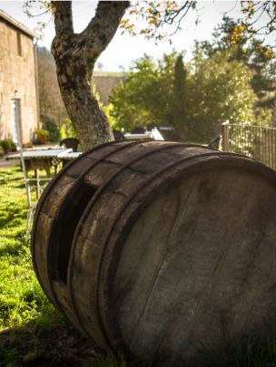 ribeira-sacra-vino-comediante
