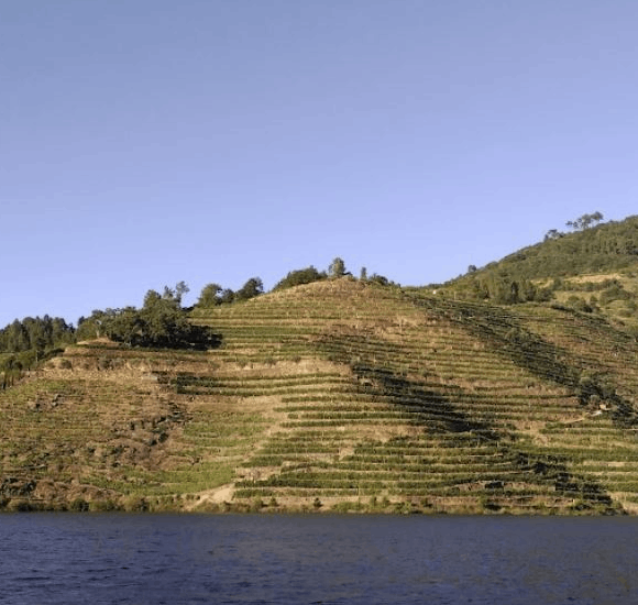 bodegas-ribeira-sacra-millara-pano